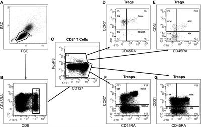 Exhaustion of CD8+ central memory responder T cell differentiation provokes non-melanoma skin cancer in elderly kidney transplant recipients